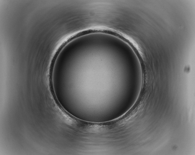 X0000099581327200805161226