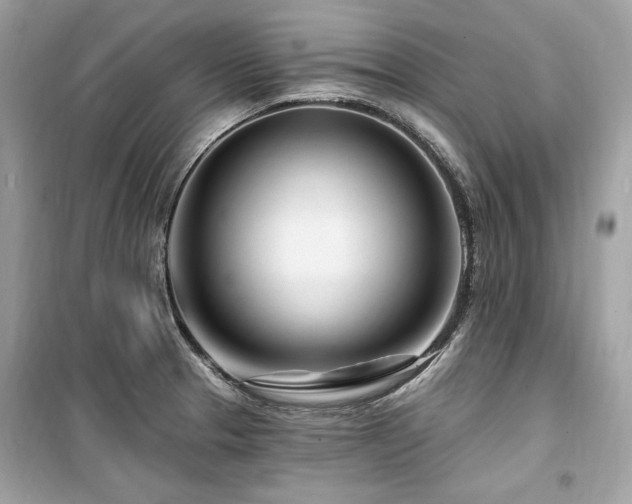 X0000099581329200805161226