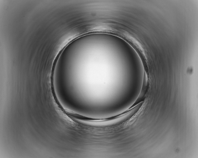 X0000099581330200805161226