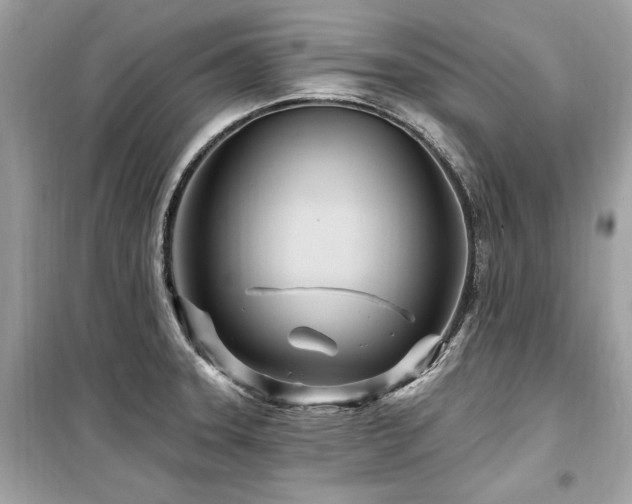 X0000099581331200805161226