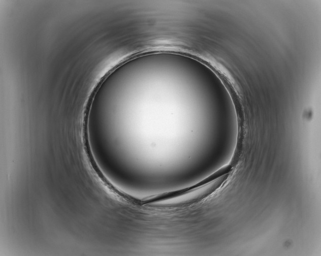 X0000099581333200805161226