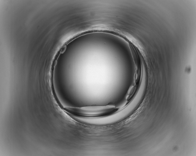 X0000099581334200805161226