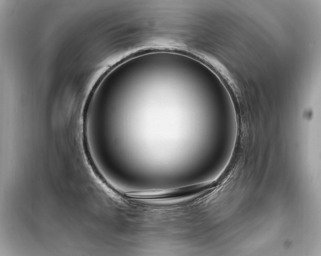 X0000099581335200805161226