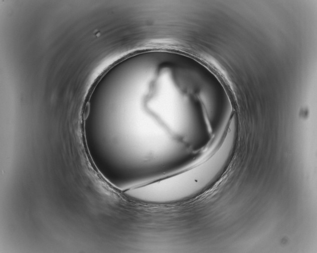 X0000099581336200805161226