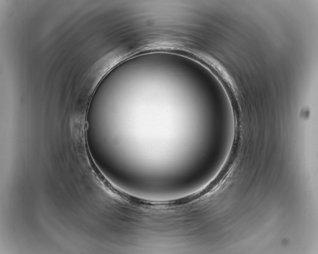 X0000099581337200805161226