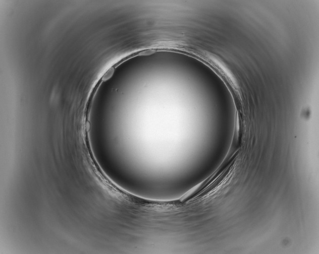 X0000099581340200805161226
