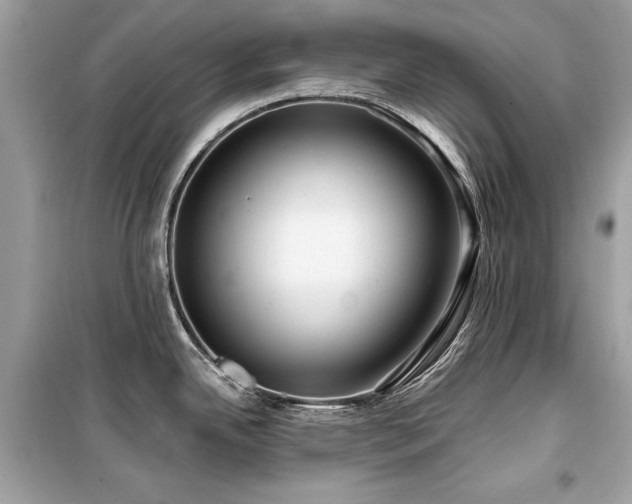 X0000099581342200805161226