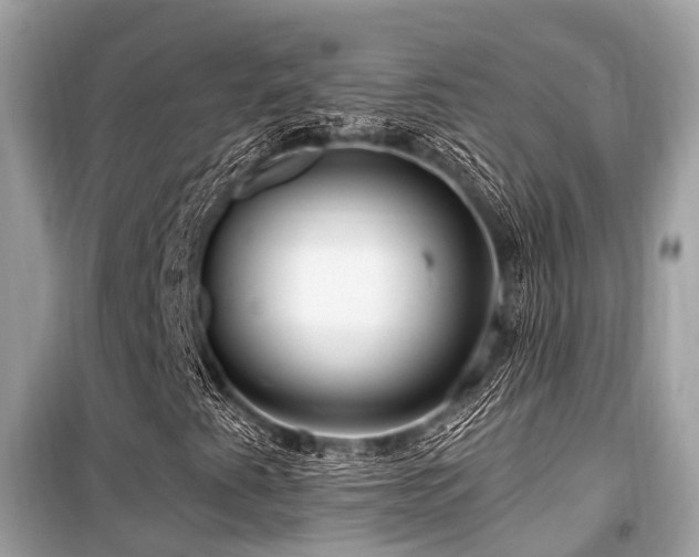 X0000099581345200805161226