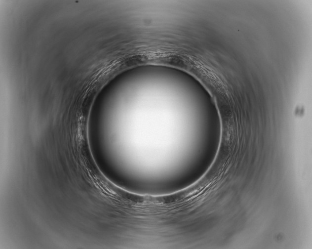 X0000099581346200805161226