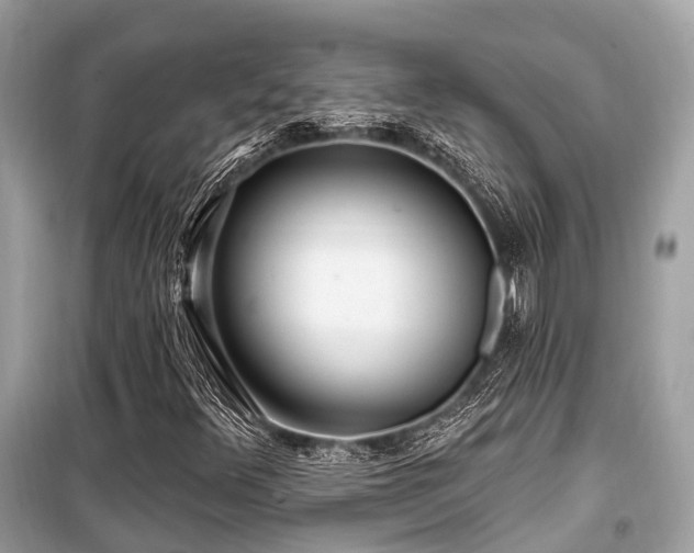X0000099581348200805161226