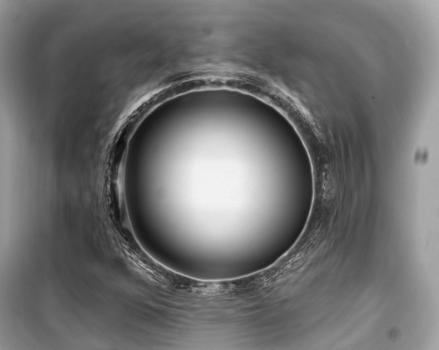 X0000099581352200805161225