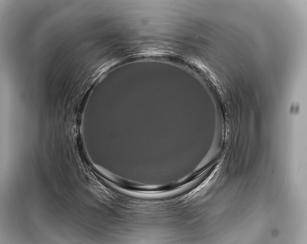 X0000099581353200805161225