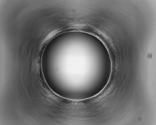 X0000099581354200805161225
