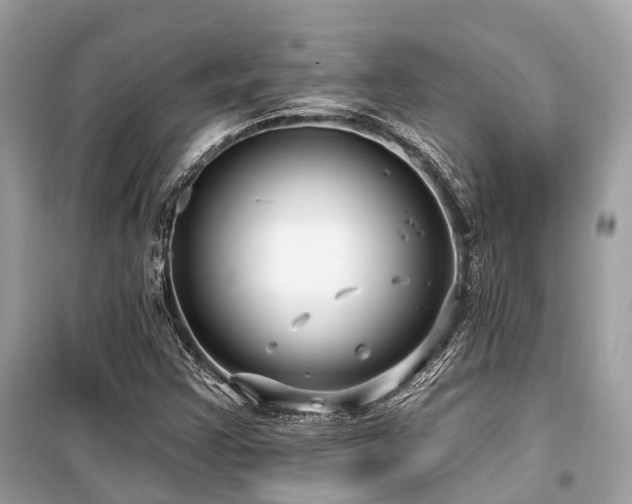 X0000099581355200805161225