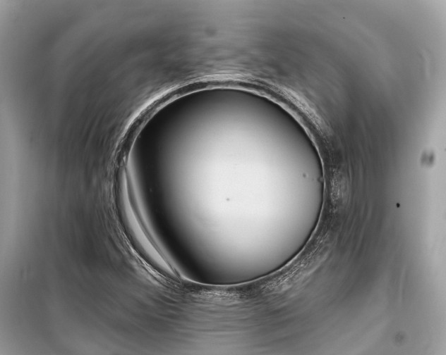 X0000099581356200805161225