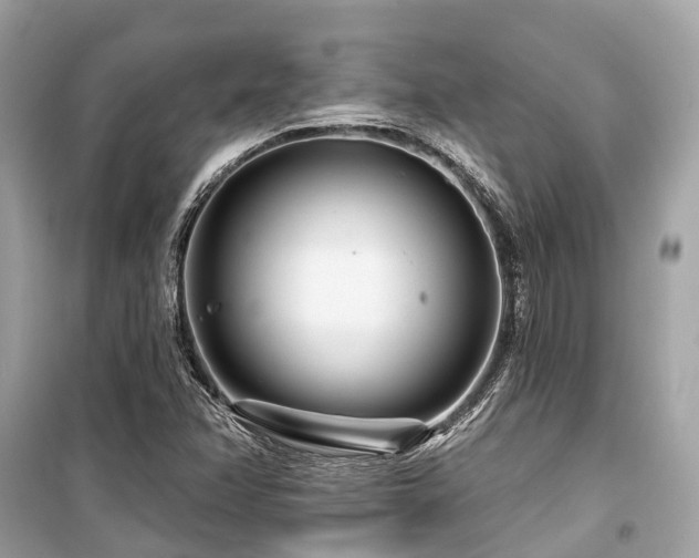 X0000099581358200805161225