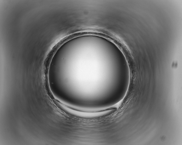 X0000099581360200805161225