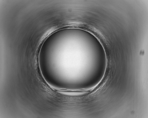 X0000099581362200805161225