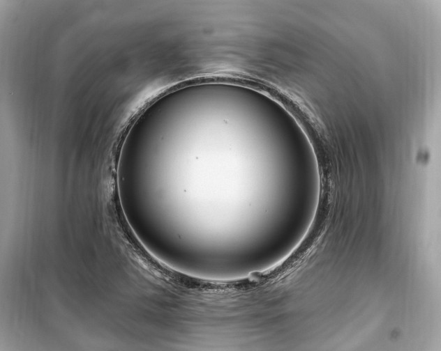 X0000099581363200805161225