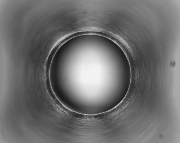 X0000099581364200805161225