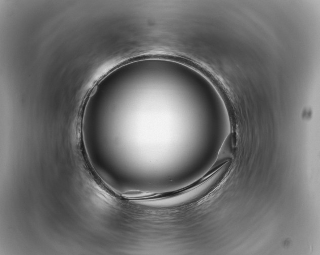 X0000099581367200805161225