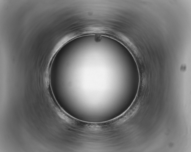 X0000099581370200805161225
