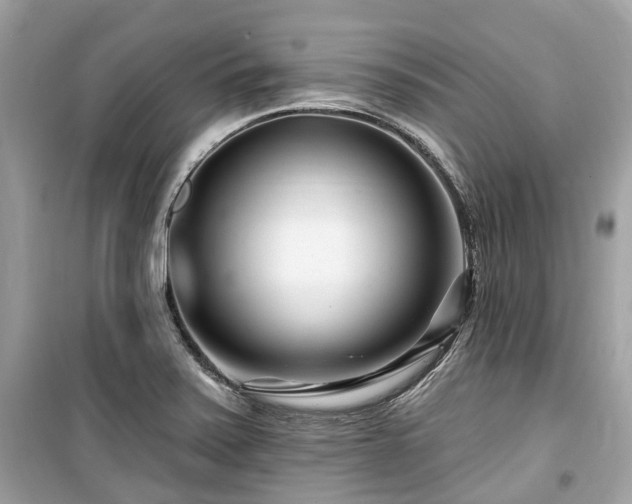 X0000099581371200805161225