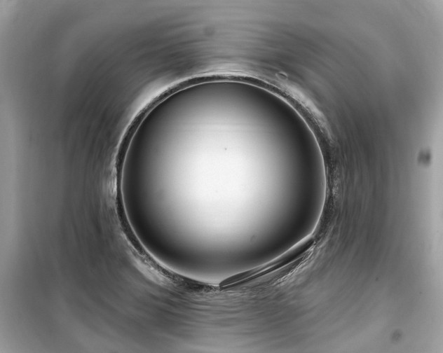 X0000099581372200805161225