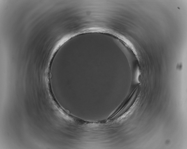 X0000099581373200805161225