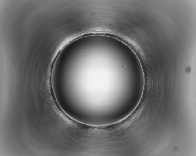 X0000099581374200805161225