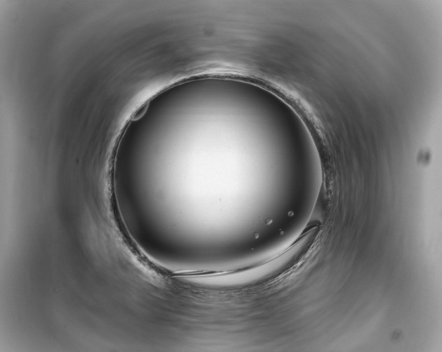 X0000099581375200805161225