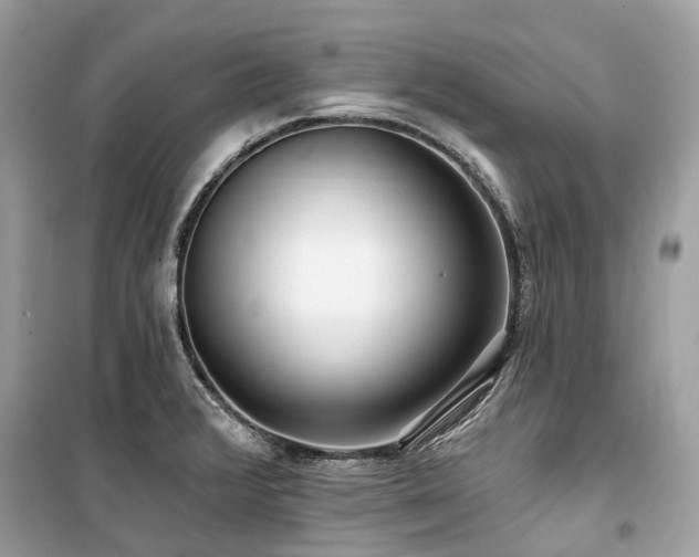 X0000099581376200805161225