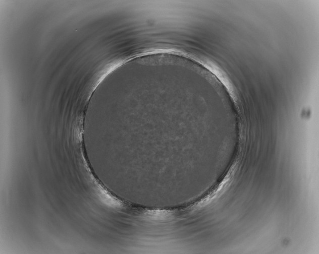 X0000099581377200805161225