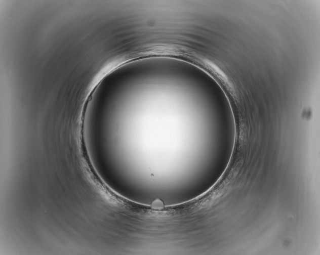 X0000099581378200805161225