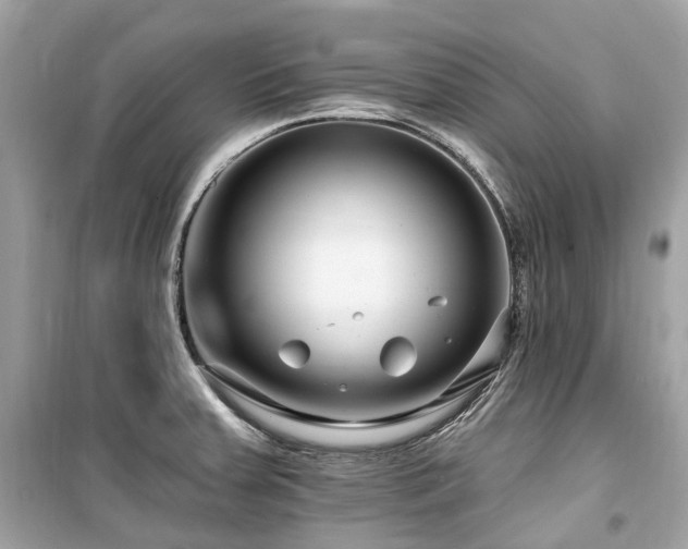 X0000099581379200805161225
