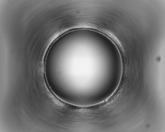 X0000099581380200805161225