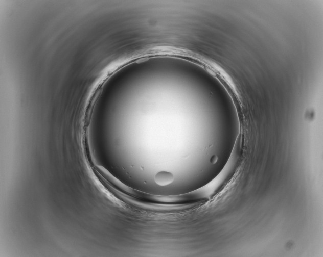 X0000099581381200805161225