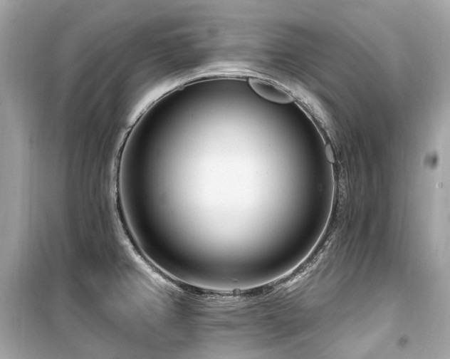 X0000099581382200805161225