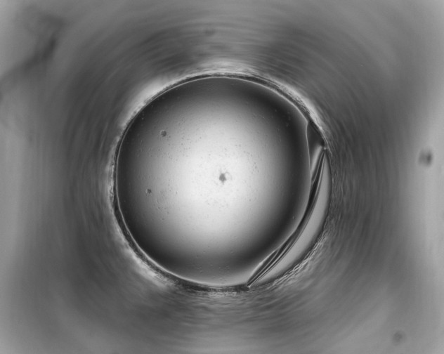 X0000099581383200805161225