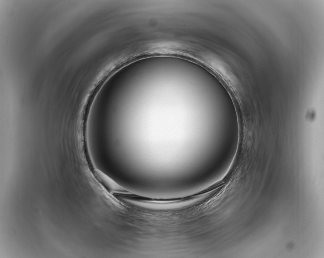 X0000099581384200805161225