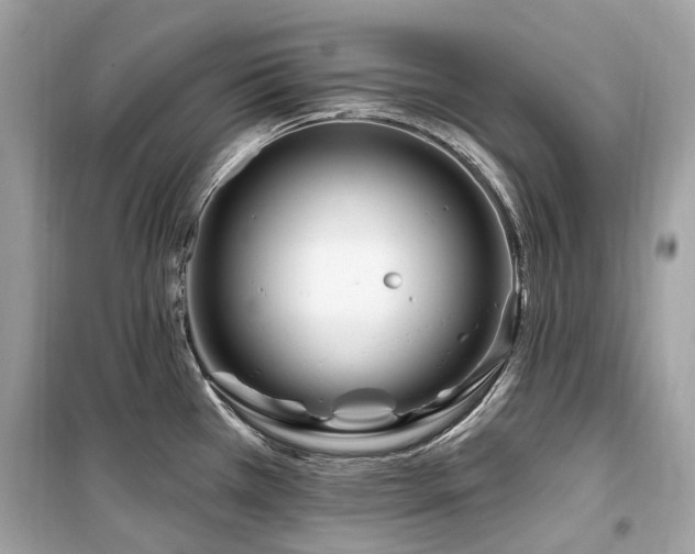 X0000099581385200805161225