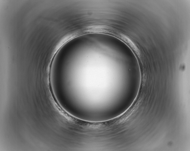 X0000099581386200805161225