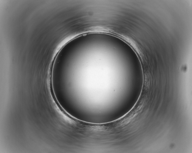 X0000099581387200805161225