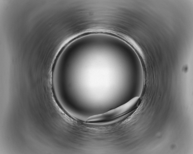 X0000099581388200805161225