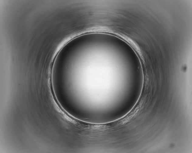 X0000099581390200805161225