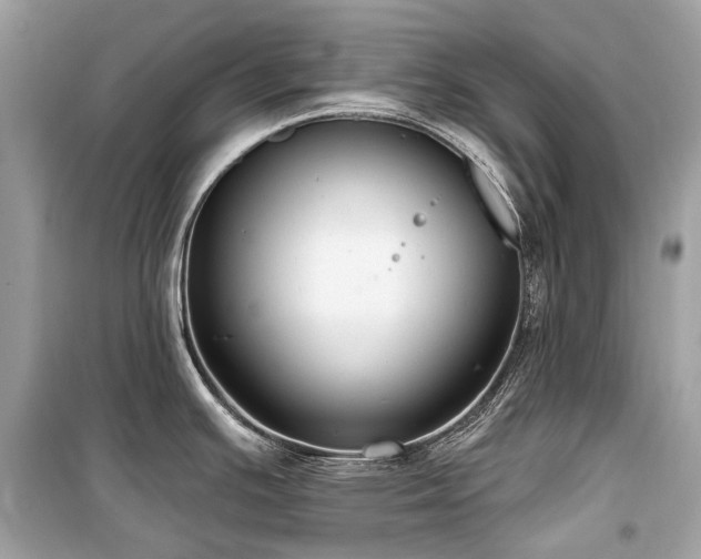 X0000099581391200805161225