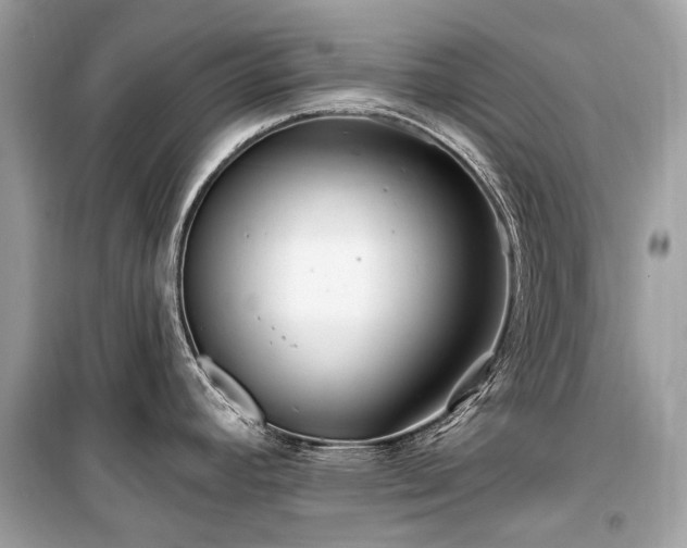 X0000099581392200805161225