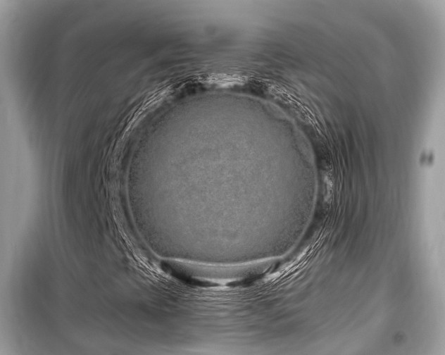 X0000099581393200805161224