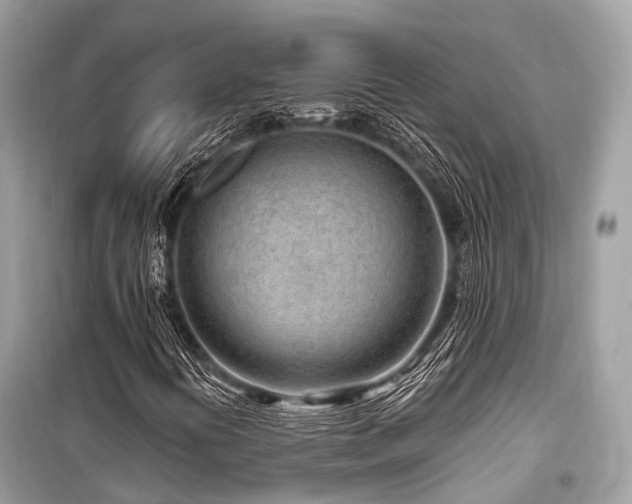 X0000099581394200805161224