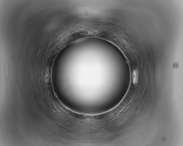 X0000099581395200805161224
